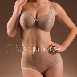 Chantelle lingerie outono inverno 2012 - 30864